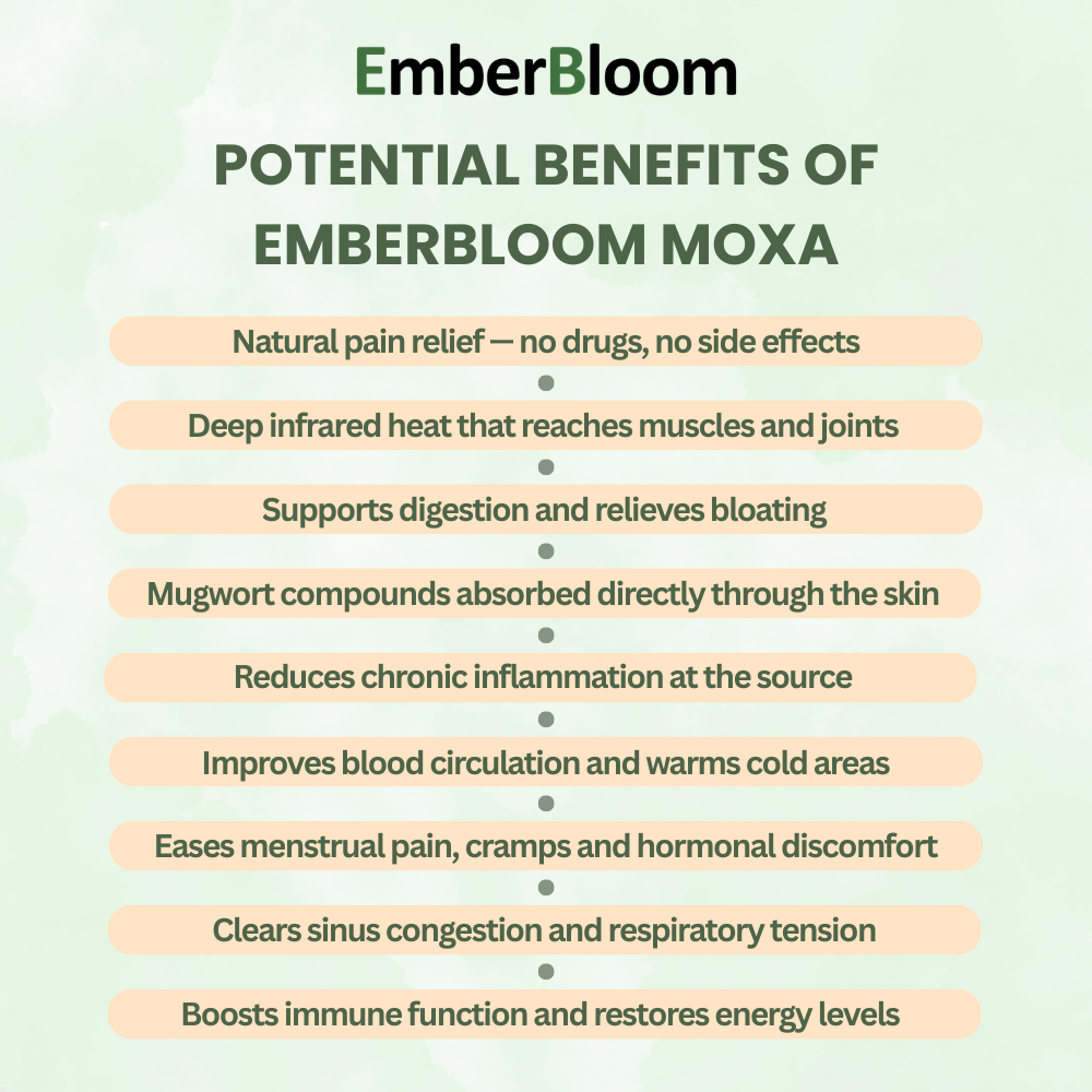 Bio Healing Moxa Set