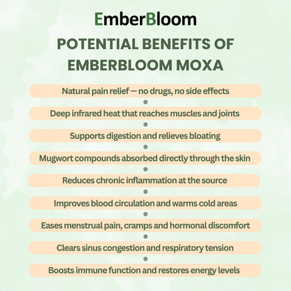 Bio Healing Moxa Set